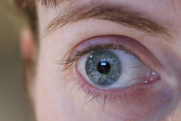 istock Adult blue eye close up 1125370629
