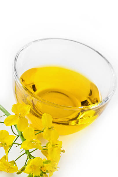 istock Rapeseed oil and  blossoms 1125372640