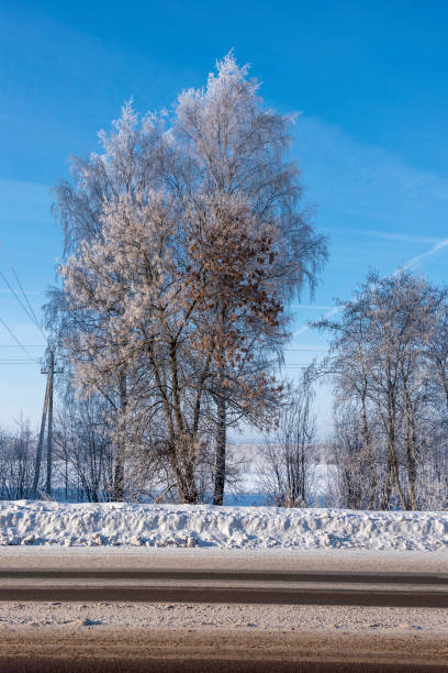 istock Winter landscape with a field and trees covered with snow on a sunny day 1125372877