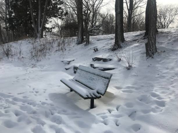 istock Lonely bench in the snow 1125377318