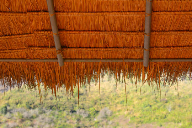 istock a thatch-roof with green nature background 1125378672