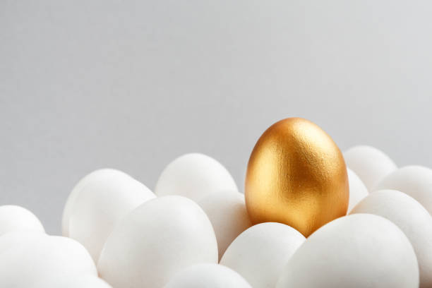 istock One golden egg among white eggs on gray background. 1125380998