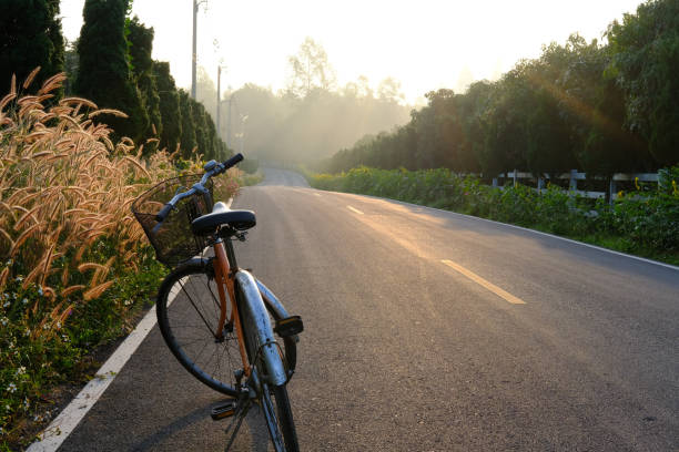 istock bicycle parking beside road with morning sunrise 1125381119