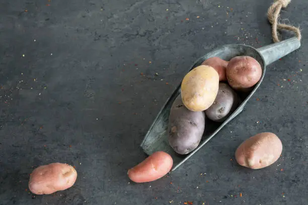 three different potatoes in scoop