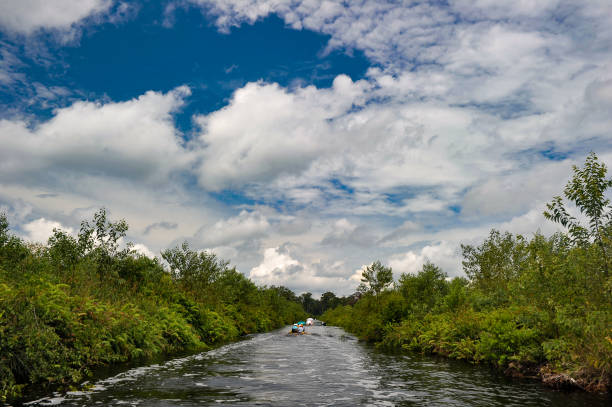 泥炭地運河 - forest canal tropical rainforest river ストックフォトと画像