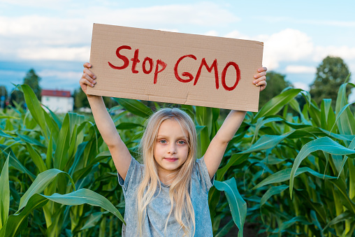 Little girl with banner Stop GMO in corn field
