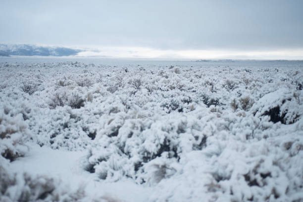 istock Desert valley snow winter landscape 1125388696
