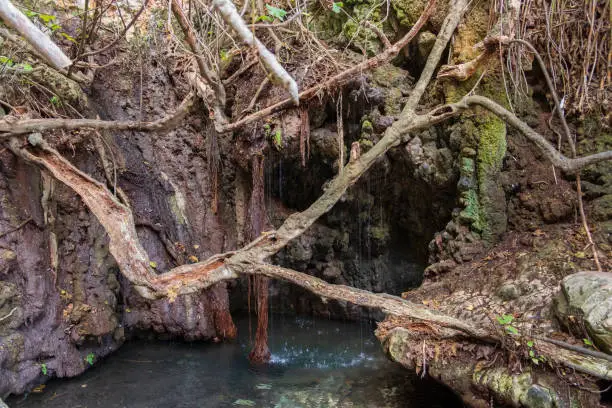 Baths of Aphrodite Grotto with pond and water spring in Akamas national park, Paphos,Cyprus