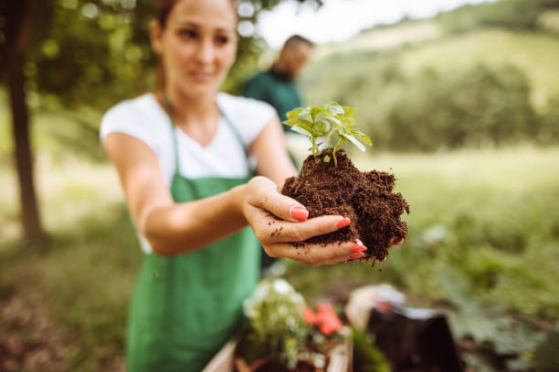 istock taking care of the plant 1125390103
