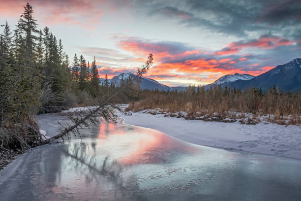 istock Sunrise in the Bow Valley 1125398407