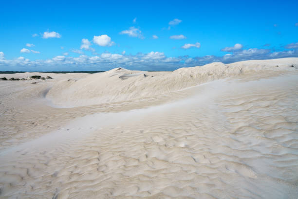 istock white lancelin sand dunes, western australia 10 1125399614