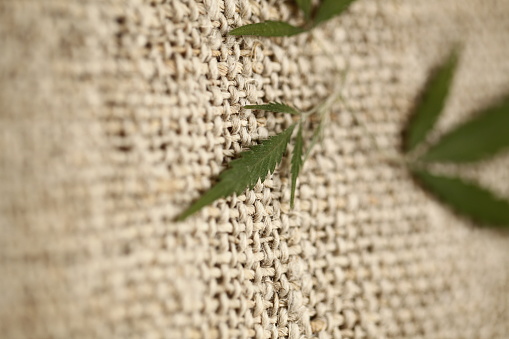 Hemp Texture Background Hemp Material Fabric Texture Stock Photo - Download Image Now ...