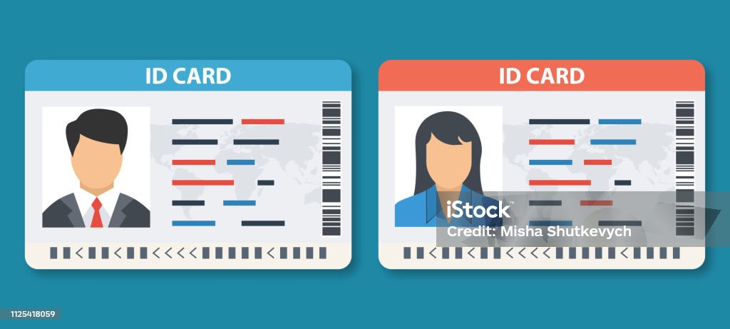 Set Id Card vector illustration. ID card or Car driver license with man and woman photo. Identity stock vector