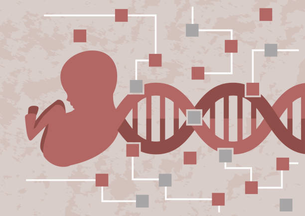 아기 배아를 해킹. 나쁜 유전자 나 가능한 변이의 확인에 대 한 태아의 dna를 해독 - dna chip stock illustrations