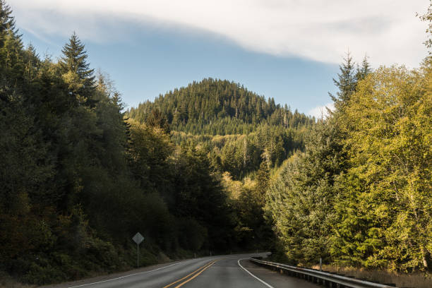 istock Mountain road surrounded by green trees in Astoria. 1125420450
