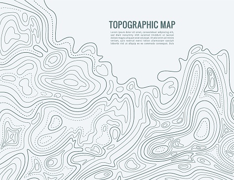 Contour line map. Elevation contouring outline cartography texture. Topographical relief map vector background