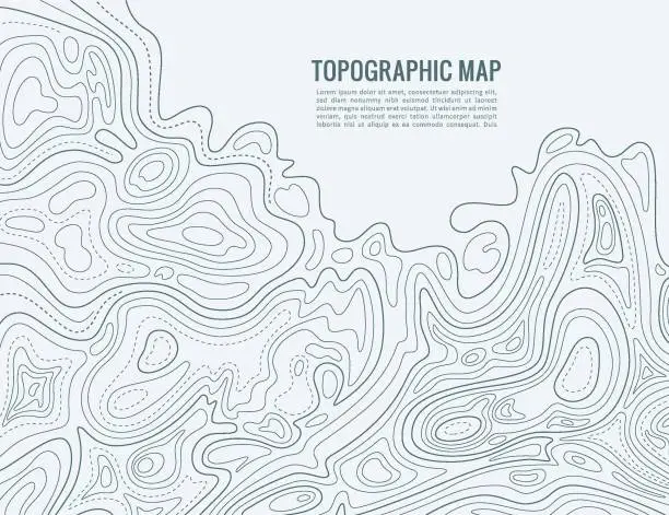 Vector illustration of Contour line map. Elevation contouring outline cartography texture. Topographical relief map background