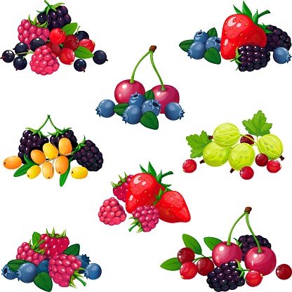 Fresh summer berries. Piles of raspberry currant strawberry gooseberry blackberry cranberry blueberry cartoon vector isolated set