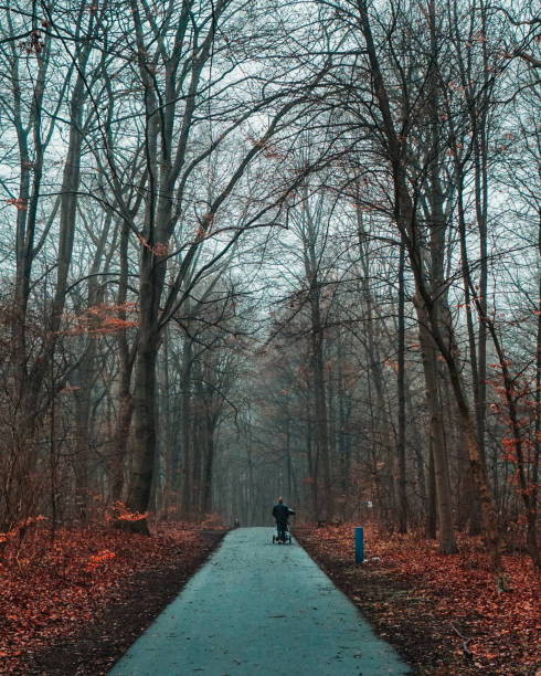 istock Man strolling with his baby in forest 1125425788
