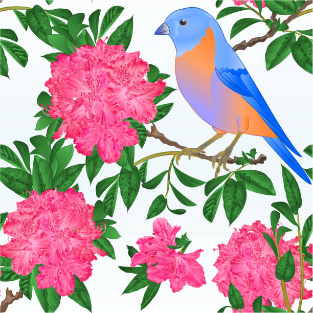 bezszwowa tekstura mały ptak bluebird drozd i różowyrhododendron wiosna tło vintage wektor ilustracja edytowalna - spring birdsong bird seamless stock illustrations