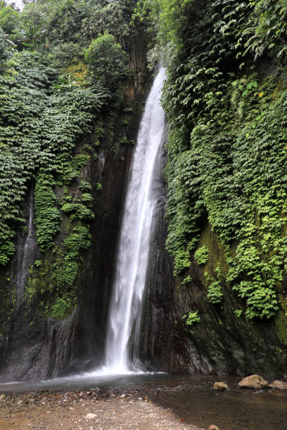 istock beautiful waterfall in the jungle - Bali Indonesia 1125426218