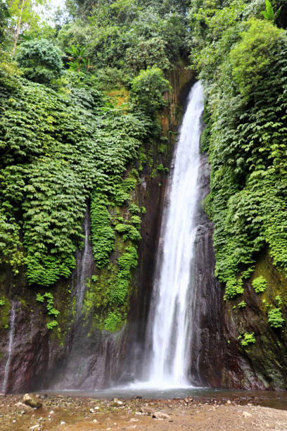 istock beautiful waterfall in the jungle - Bali Indonesia 1125426871