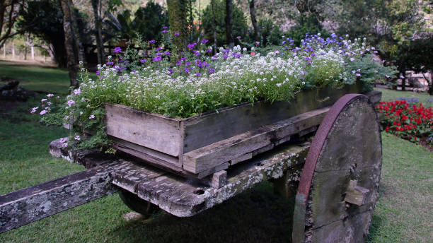 istock Old ox cart transformed into flower bed 1125427518