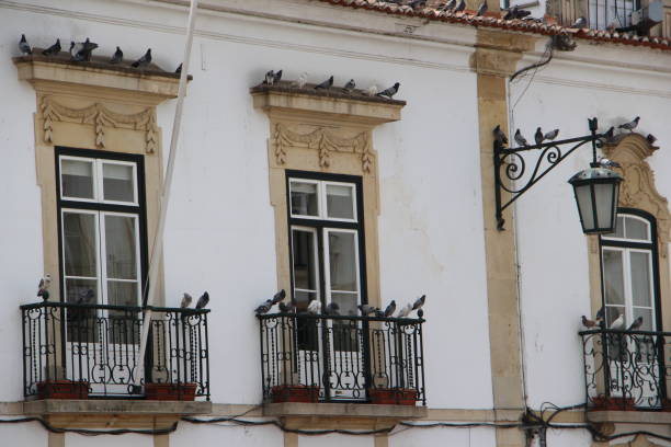 istock Portugal - tomar - old building in the town 1125429244