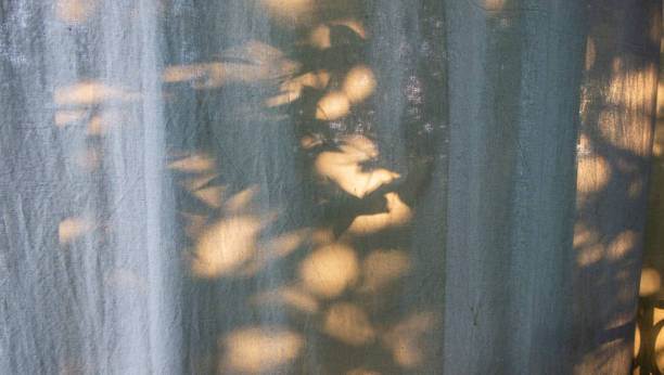 istock Sunset and shadows of tree leaves on the curtain 1125432008