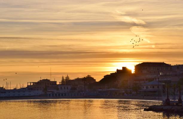 istock Golden Hour and birds 1125432919