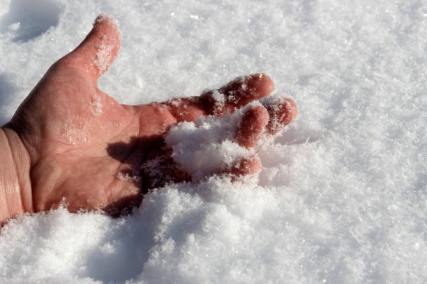 istock Frozen man's hand in snow on a frosty day 1125434861