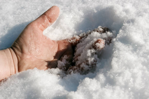 istock Frozen man's hand in snow on a frosty day,  close-up 1125434862