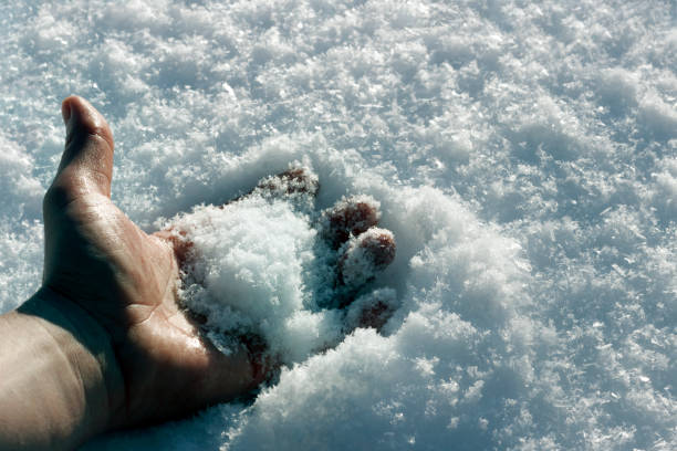 frozen human hand in the snow close up on a frosty day - congelação imagens e fotografias de stock