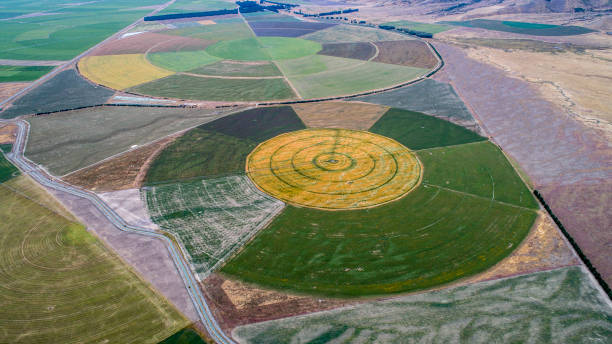 circle crop fields seen from above stock photo