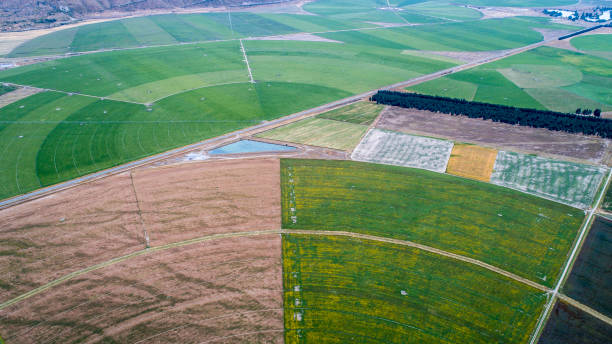 circle crop fields seen from above stock photo