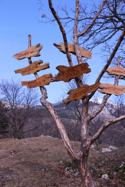 istock Signpost in the mountain 1125442901