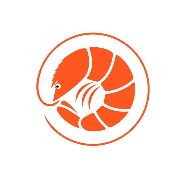 ilustrações de stock, clip art, desenhos animados e ícones de shrimp logo. isolated shrimp on white background - shrimp