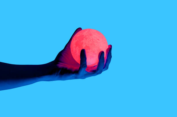 Isolated on blue background photo of man