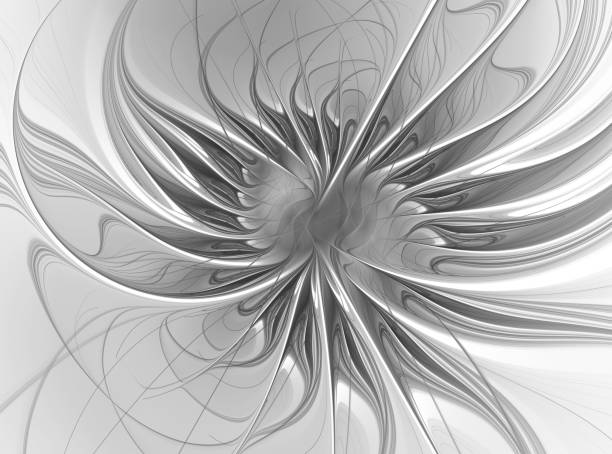 istock Elegant and gentle purple flower 1125445796