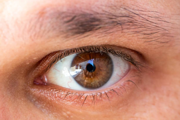 istock Close up of Brown Young man eye 1125447540