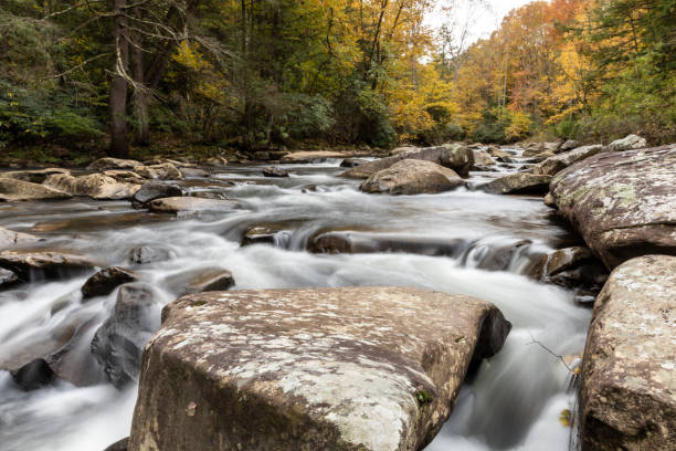 cascade ruisseau glade - autumn watermill glade creek waterfall photos et images de collection