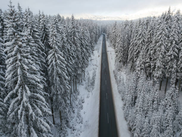Free Stock Photo of Aerial View of Snow Covered Trees Along a Road ...