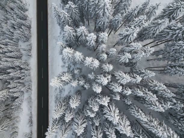 istock Road and snow covered spruce trees from directly above 1125451442