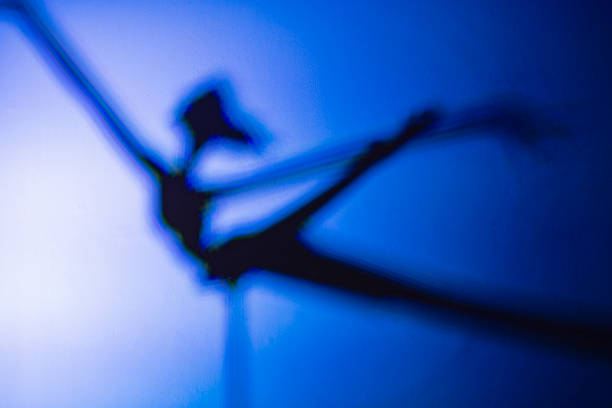 istock Ballerina shadow projected onto the wall 1125451797