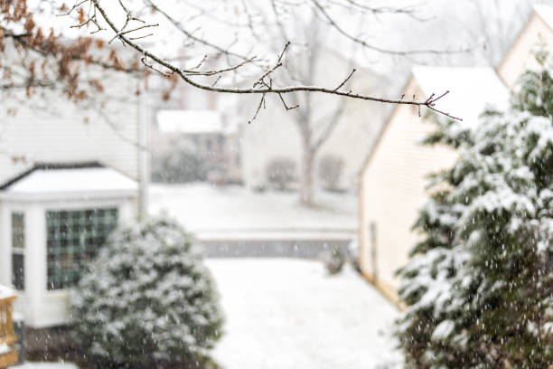 Snowing storm with tree branches covered in snow in backyard and front yard with houses by street road in residential neighborhood suburbs of Fairfax in northern Virginia