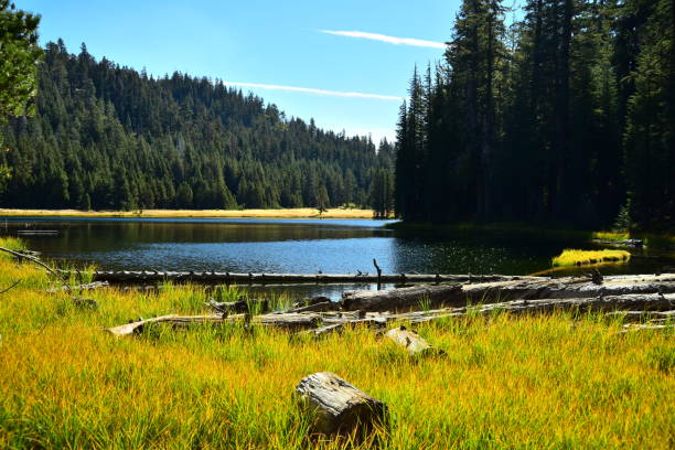 istock Lukens Lake, Yosemite 1125458510