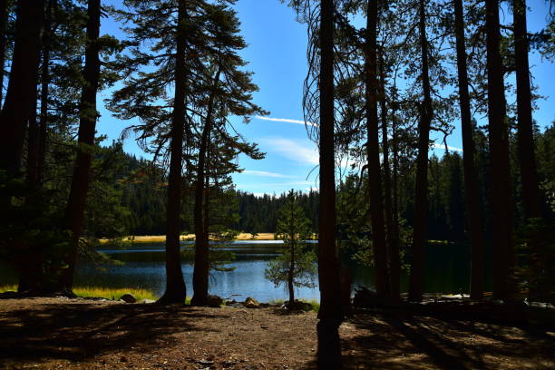 istock Lukens Lake, Yosemite 1125458511