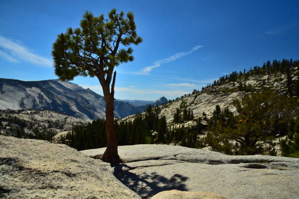 istock Olmsted Point View of Half Dome 1125458627