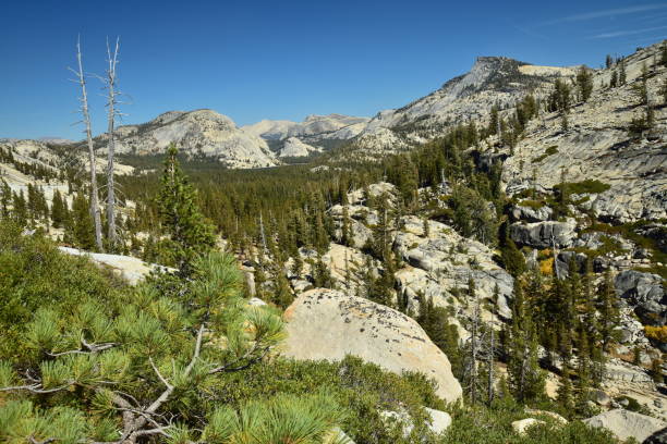 istock Tenaya Lake, Yosemite 1125458666