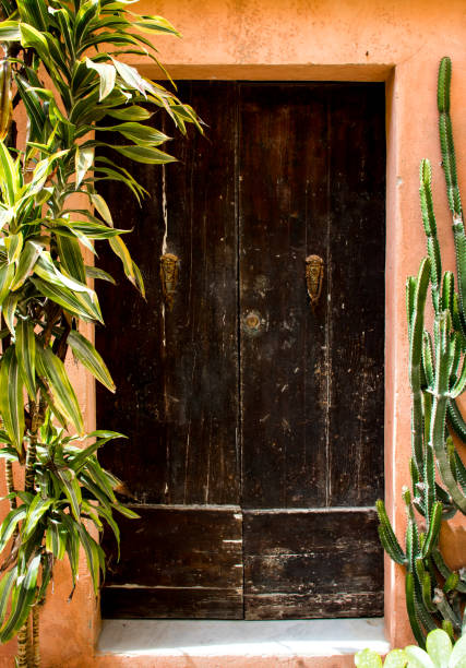 istock Maltese old brown door 1125467642